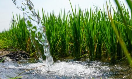 economics-water-supply-01